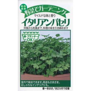 トーホクの種 イタリアンパセリ マイルドな味と香り 内容量5ml｜re-net
