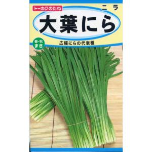 トーホクの種 大葉にら 香りの良い広幅種 内容量5ml｜re-net