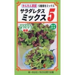 トーホクの種 かんたん菜園 サラダレタスミックス5 5種MIX 内容量5ml｜re-net