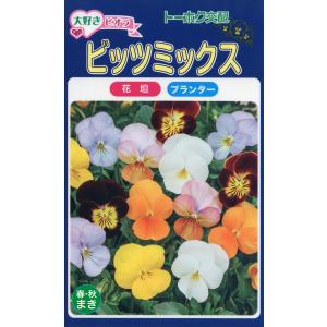 トーホクの種 大好きビオラ ビッツミックス 春・秋まきのタネ 内容量0.2ml｜re-net