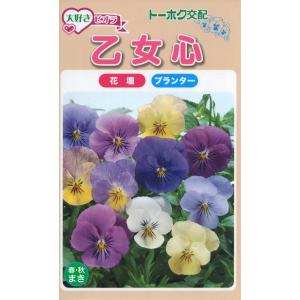 トーホクの種 大好きビオラ 乙女心 春・秋まきのタネ 内容量0.2ml｜re-net