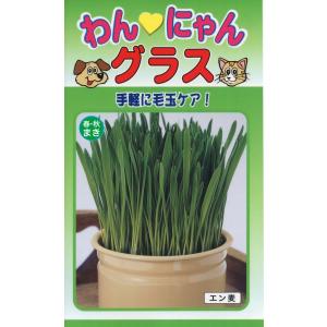 トーホクの種 わんにゃんグラス 内容量60ml｜re-net