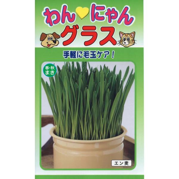 トーホクの種 わんにゃんグラス 内容量60ml