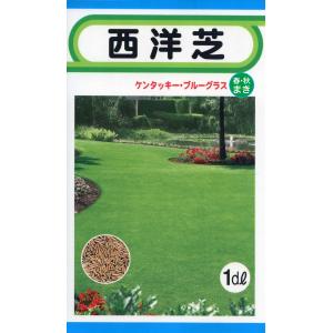 トーホクの種 西洋芝1dl ケンタッキーブルーグラス 内容量1dl｜re-net