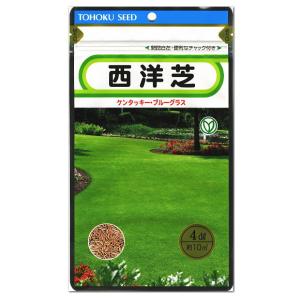 トーホクの種 西洋芝4dl ケンタッキーブルーグラス 内容量4dl｜re-net