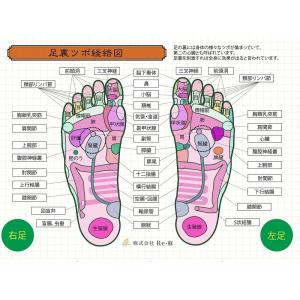 【公式】リ・ソビーム 永久使用タイプ 2粒 ス...の詳細画像2