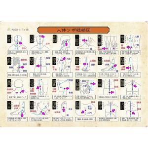 【公式】リ・ソビーム 永久使用タイプ 2粒 ス...の詳細画像3