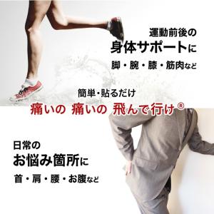 【公式】リ・ソビーム シールタイプワイド 60...の詳細画像1