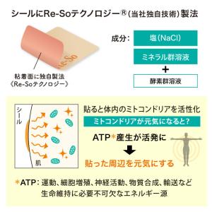 【公式】リ・ソビーム シールタイプワイド 60...の詳細画像2