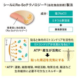 【公式】リ・ソビーム シールタイプ 10枚 ス...の詳細画像2
