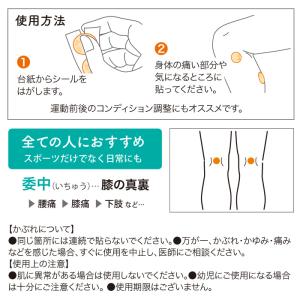 【公式】リ・ソビーム シールタイプ 10枚 ス...の詳細画像5