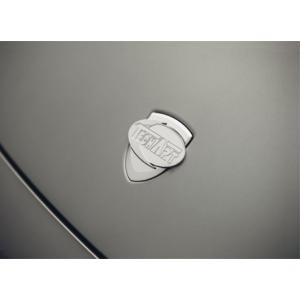 992.1 GT Street R TECHART テックアート ボンネットエンブレム｜react