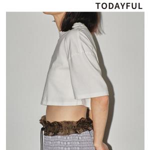 TODAYFUL (トゥデイフル）Cropped Smooth Knit 即日発送 : RAPTURE