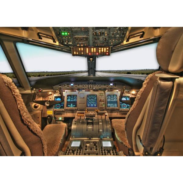 絵画風 壁紙ポスター (はがせるシール式) コックピット 操縦室 パイロット ボーイング エアバス ...