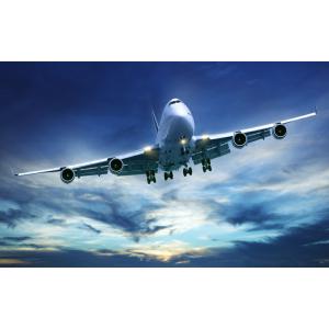 絵画風 壁紙ポスター (はがせるシール式) JAL国内線 ボーイング 747