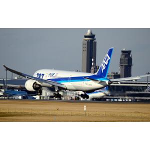 ANA 787 ポスター 絵画風 壁紙ポスター (はがせるシール式) ANA ボーイング 787-8
