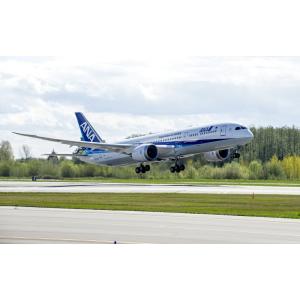 絵画風 壁紙ポスター (はがせるシール式) ANA ボーイング 787-8