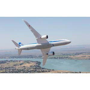 絵画風 壁紙ポスター (はがせるシール式) ANA ボーイング 787-8