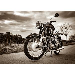 絵画風 壁紙ポスター (はがせるシール式) カワサキ Ninja ZX-14R 2015