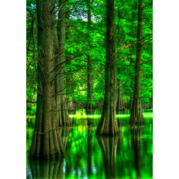 絵画風 壁紙ポスター (はがせるシール式) -地球の撮り方- 福岡の街中に現れた異世界 篠栗 九大の...