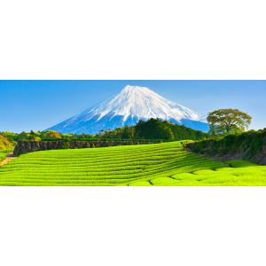 絵画風 壁紙ポスター (はがせるシール式) -地球の撮り方- 新緑の絨毯 今宮の新芽の茶畑と富士山の...