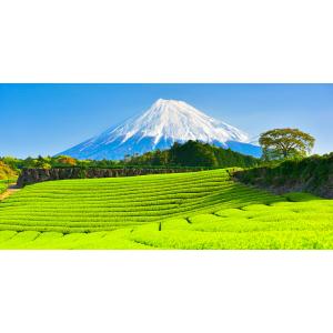 絵画風 壁紙ポスター (はがせるシール式) -地球の撮り方- 新緑の絨毯 今宮の新芽の茶畑と富士山の絶景 パノラマ キャラクロ C-ZJP-011S1(1152mm×576mm)