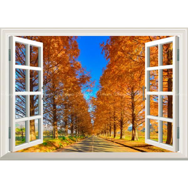 絵画風 壁紙ポスター (はがせるシール式) -地球の撮り方- どこまでも続くメタセコイア並木 【窓仕...