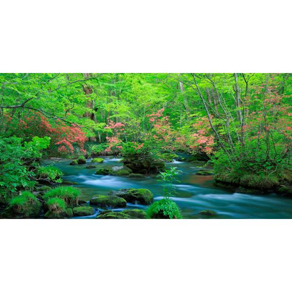 絵画風 壁紙ポスター (はがせるシール式) -地球の撮り方- ツツジ映える新緑の奥入瀬渓流 パノラマ...