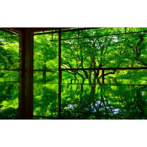 【パノラマ窓仕様】アマルフィ 地中海 リゾート イタリア 絶景 壁紙ポスター 絵画風 壁紙ポスター (はがせるシール式) アマルフィ 地中海 リゾート