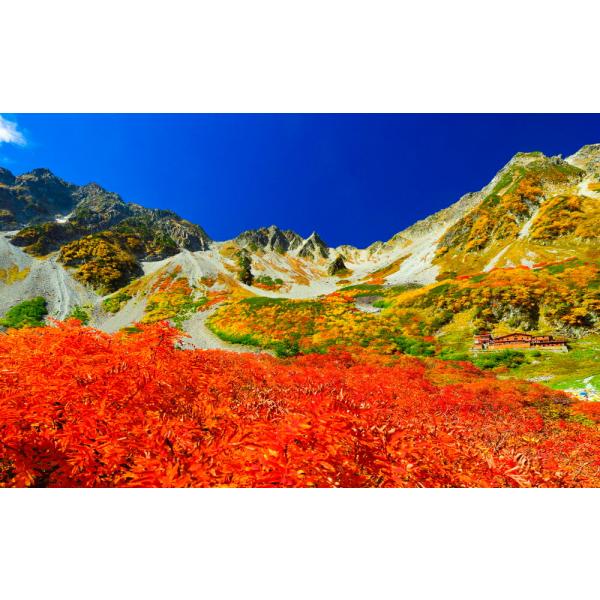 絵画風 壁紙ポスター (はがせるシール式) -地球の撮り方- 日本一の紅葉 涸沢カールと奥穂高岳 キ...