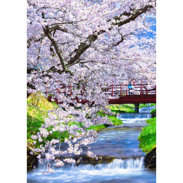 絵画風 壁紙ポスター (はがせるシール式) -地球の撮り方- 流れ落ちる段々の川と桜 猪苗代町 観音...