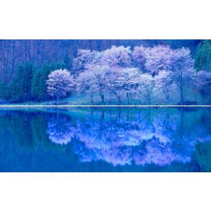 絵画風 壁紙ポスター -窓の景色- ヴェネツィアの夜景 水の都 運河