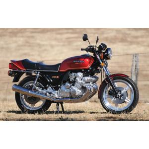 絵画風 壁紙ポスター (はがせるシール式) ドゥカティ 750SS DESMO 1975