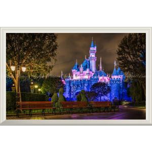 絵画風 壁紙ポスターディズニーシー ディズニーリゾート パノラマ 窓仕様 Dns 005ms1 1152mm 576mm Www Gillesolutions Com