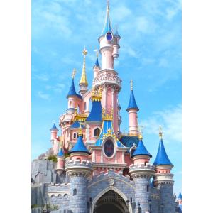 絵画風 壁紙ポスター (はがせるシール式) ディズニーシーの夜景