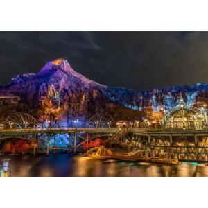 絵画風 壁紙ポスター (はがせるシール式) ディズニーシーの夜景