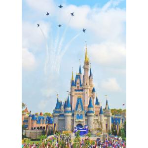 絵画風 壁紙ポスター (はがせるシール式) ディ...の商品画像