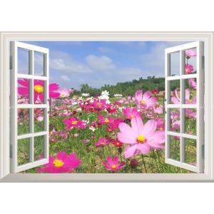 絵画風 壁紙ポスター (はがせるシール式) コスモス 秋桜 アキザクラ 【窓仕様】 キャラクロ FCMS-009MA1(A1版 830mm×585mm)＜日本製＞