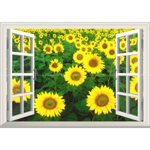絵画風 壁紙ポスター (はがせるシール式) ひまわり畑 向日葵 ヒマワリ 太陽の花 【窓仕様】 キャラクロ FHMW-008MA2(A2版 594mm×420mm)＜日本製＞