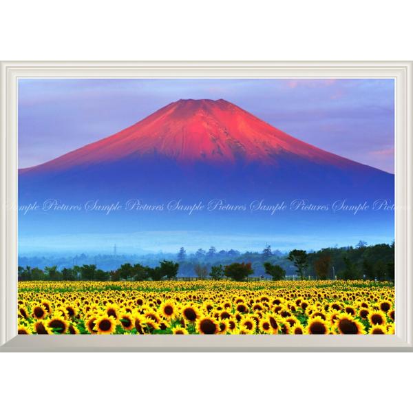 絵画風 壁紙ポスター (はがせるシール式) 赤富士 朝焼けの富士山と向日葵畑【扉なし窓仕様】 キャラ...