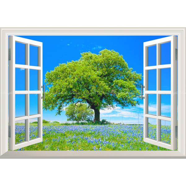 絵画風 壁紙ポスター (はがせるシール式) ムスカリの花 青空と大木と花畑 【窓仕様】 キャラクロ ...