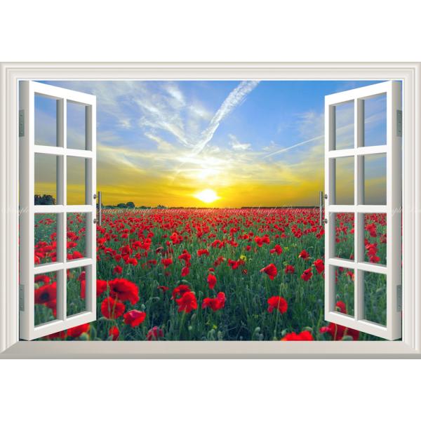 絵画風 壁紙ポスター (はがせるシール式) 朝陽を浴びる一面の虞美人草 ヒナゲシ ポピー 【窓仕様】...