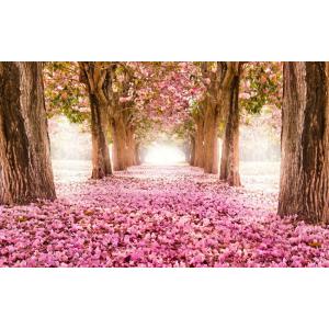 壁紙桜の花びらの商品一覧 通販 Yahoo ショッピング