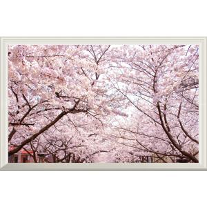 ポスター 八重の桜の商品一覧 通販 Yahoo ショッピング