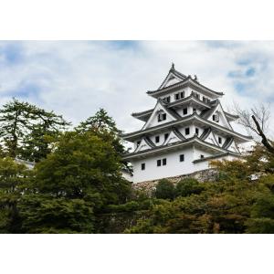 レアルインターショップ 郡上八幡城 城郭 Yahoo ショッピング