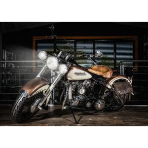 絵画風 壁紙ポスター (はがせるシール式) カワサキ Ninja ZX-14R 2015