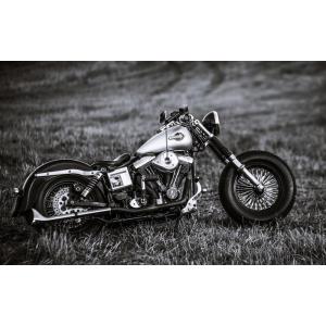 ハーレーショベルヘッドカスタムの商品一覧 通販 Yahoo ショッピング