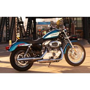 絵画風 壁紙ポスター (はがせるシール式) ハーレーダビッドソン XL1200R スポーツスター 2...