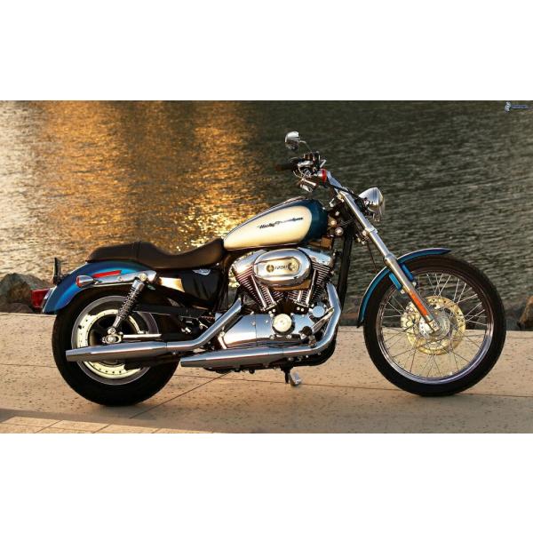 絵画風 壁紙ポスター (はがせるシール式) ハーレー ダビッドソン XL1200C スポーツスター ...