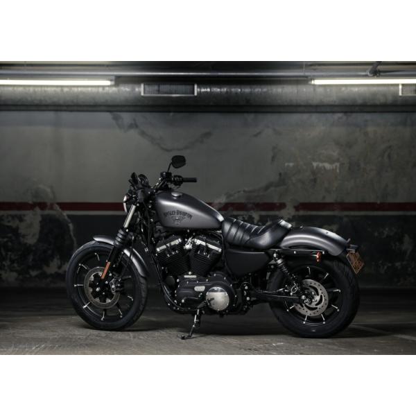 絵画風 壁紙ポスター (はがせるシール式) ハーレー ダビッドソン XL883N Iron スポーツ...